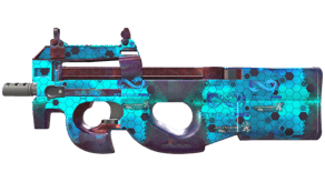 Module image