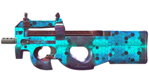 Module image