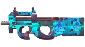 Module image