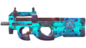 Module image