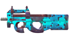 Module image