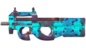Module image