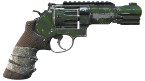 Survivalist image