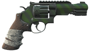 Survivalist image