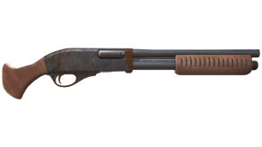 Rust Coat image