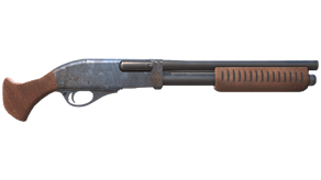 Rust Coat image