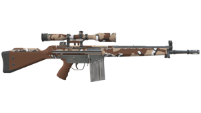 Desert Storm image