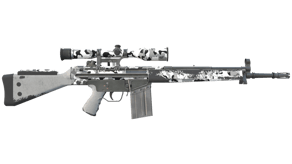 Polar Camo image