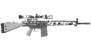 Polar Camo image