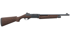 Walnut image