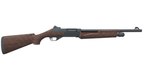 Walnut image
