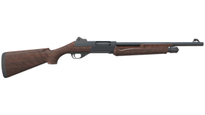 Walnut image