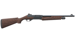 Walnut image