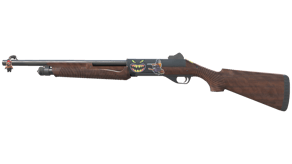 Walnut image