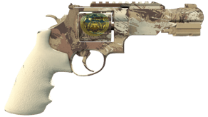 Desert Brush image