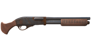 Rust Coat image