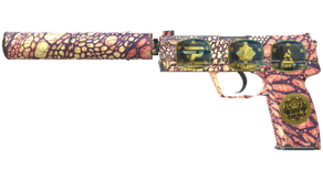 Orange Anolis image