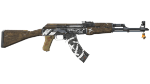 Wasteland Rebel image