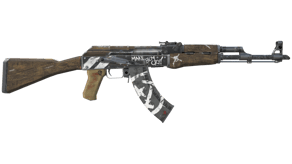 Wasteland Rebel image
