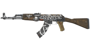 Wasteland Rebel image