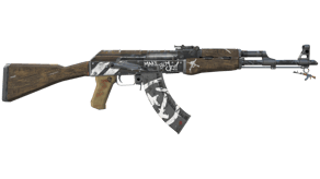 Wasteland Rebel image