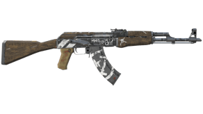 Wasteland Rebel image