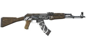 Wasteland Rebel image