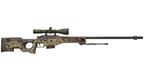 Duality image