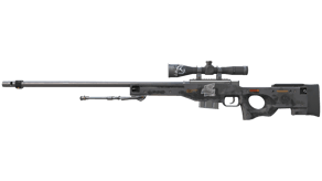 Elite Build image