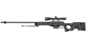 Elite Build image