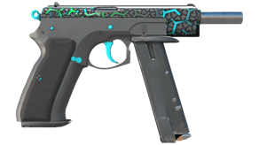 Polymer image