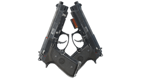 Elite 1.6 image