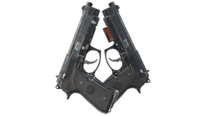 Elite 1.6 image