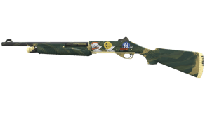 Ranger image