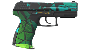 Pulse image
