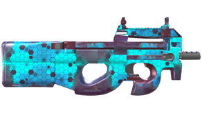 Module image