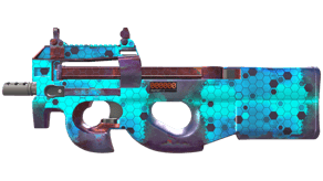 Module image