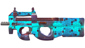 Module image
