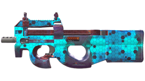 Module image