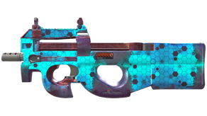 Module image