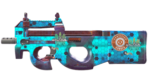 Module image