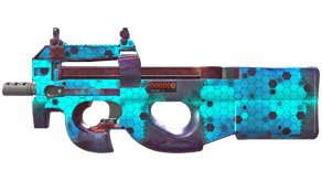 Module image
