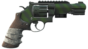 Survivalist image