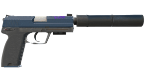 Guardian image