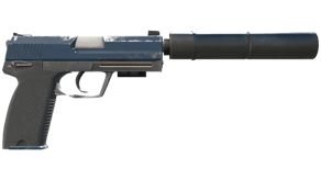 Guardian image