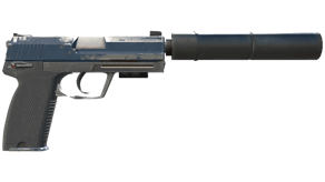 Guardian image