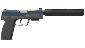 Guardian image