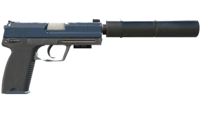 Guardian image