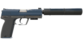 Guardian image