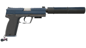 Guardian image